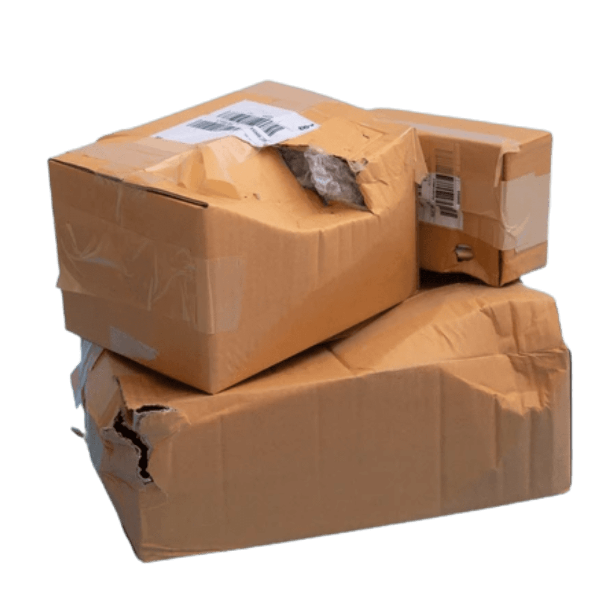 ERP for Distribution Management