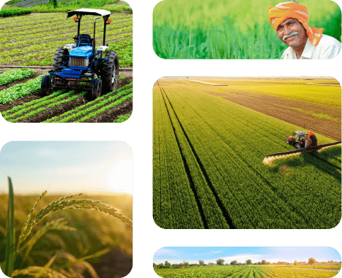 Illustration of ERP Software for Agriculture