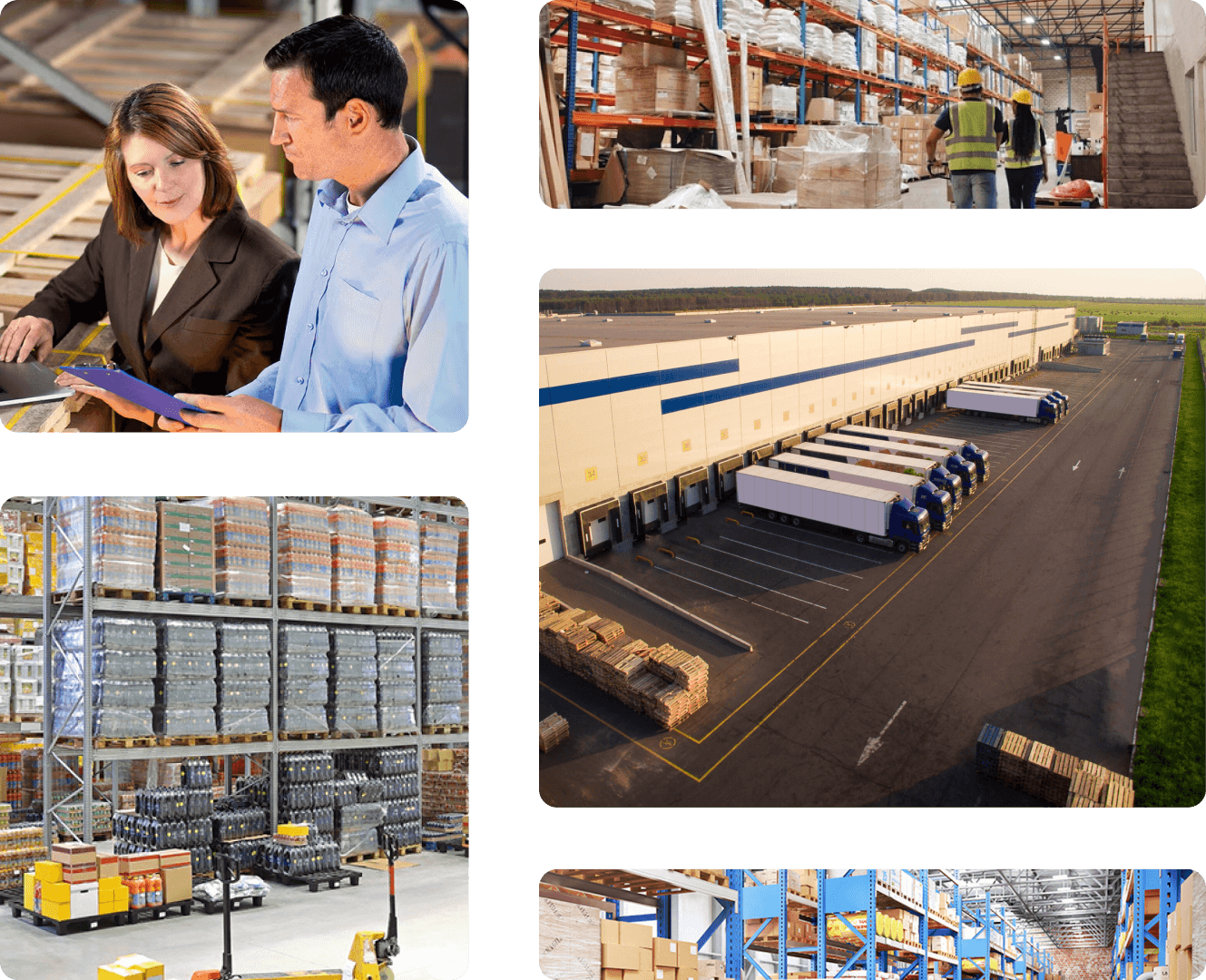 ERP software for distribution industry