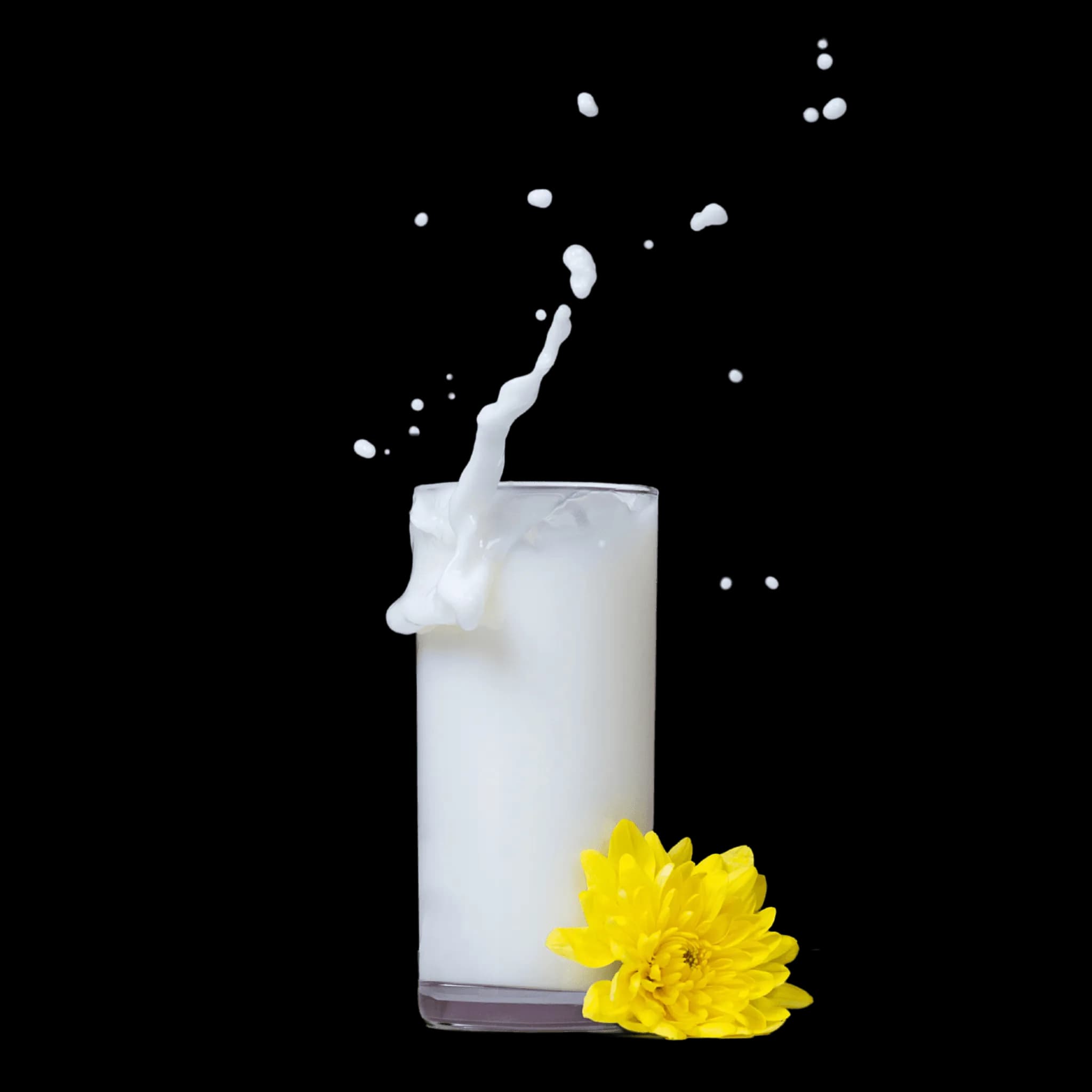 Dairy ERP Enhancements